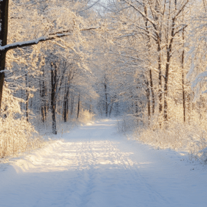 Winter landscape with snow and tree road