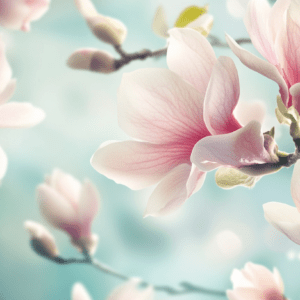 Floral orchid wallpaper