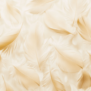 Beige feather wallpaper