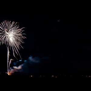 The firework is in the shape of a flower