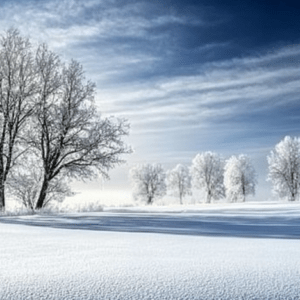 Winter and snow landscapes