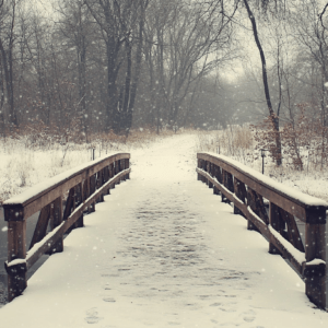 Winter landscape bridge in the snow