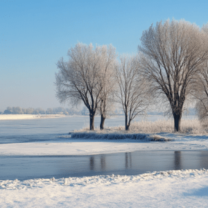 Winter landscape trees at the lake